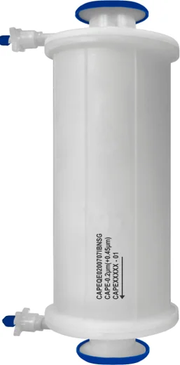 Capsule Filter